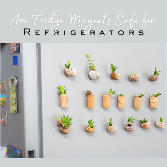 Are Fridge Magnets Safe for Refrigerators