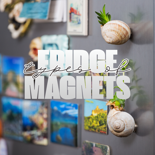 Different Types of Fridge Magnets