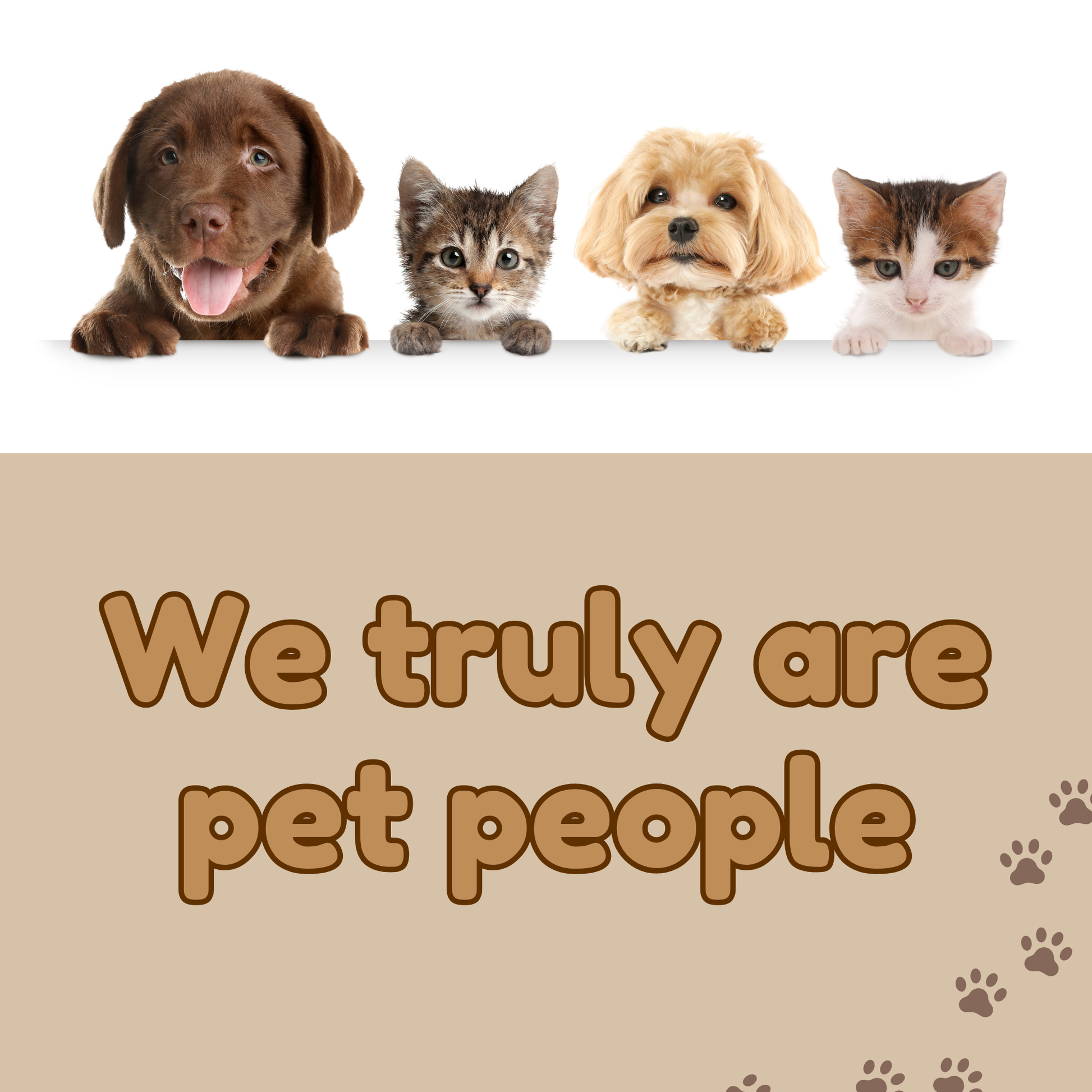 Pet Animal Themed Fridge Magnets